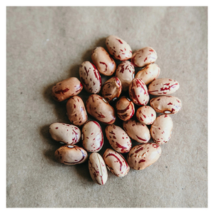 Frijoles blancos moteados de calidad garantizada, suministrados para comercio mayorista y negocios de alimentos - Product Image 6