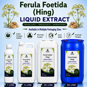 Extracto Líquido de Ferula Foetida, Suplemento Herbal, Grado Alimenticio Natural, Empaque de Exportación, Suministro a Granel Personalizado - Product Image 1