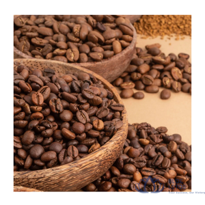กาแฟเวียดนามดักลักโรบัสต้าเมล็ดเต็มคุณภาพสูง ยอดขายดีที่สุด คั่วกลาง รสหวาน กลิ่นหอมเข้มข้น - Product Image 1