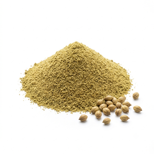 Cilantro en Polvo Premium, Especia de Cilantro India, Cilantro Molido Natural, Proveedor a Granel - Product Image 4