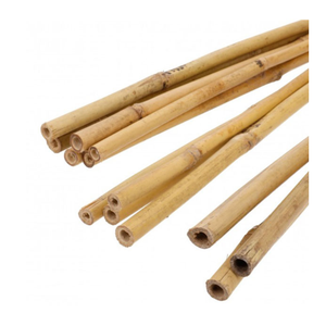 Eco Friendly Bamboo <b>Poles</b> <b>For</b> Sustainable Construction And Decoration - Product Image 1