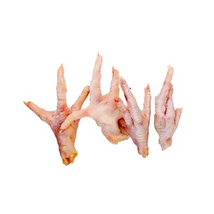 Selección de Aves Halal Lista para Exportación, Patas de Pollo Congeladas IQF, Limpias, Clasificadas, Empacadas Premium, 24 Meses de Vida Útil, Cajas a Granel - Product Image 5