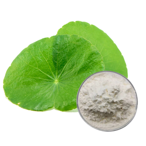 เครื่องสำอางผงสารออกฤทธิ์จากธรรมชาติ - Product Image 5