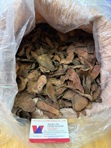 Rodajas de Raíz Uniformes de Eleutherococcus Trifoliatus Syn Acanthopanax Trifoliatus Premium de 8 cm, Secadas al Sol Naturalmente, Origen Vietnam - Product Image 5
