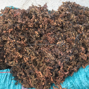 Algas Sargassum Secas 100% Puras de Binh Thuan, Vietnam, para Fertilizante y Alimento para Animales - KMI - Product Image 2