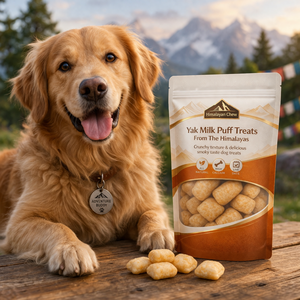 Barres et Nuggets Soufflés de Yak de l'Himalaya pour Chiens – Friandise Croquante Riche en Protéines, Biologique et Entièrement Naturelle pour le Soutien Articulaire, le Calcium et la Glutamine - Product Image 6
