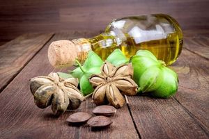 DISPONIBLE Aceite de Sacha Inchi Orgánico de Calidad de Exportación, 100% Puro, Prensado en Frío, Extra Virgen, para Mercados Globales - Product Image 4