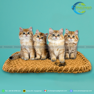 Tapis pour animaux de compagnie respirant en fibre de coco 100% naturelle, idéal pour les températures chaudes - Vente flash ! - Product Image 2