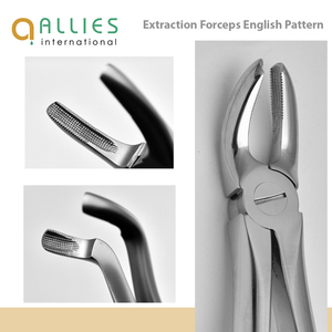 Proveedor Mayorista de Fórceps Dentales para Extracción Hechos en Pakistán, Fórceps Dentales para Extracción de Alta Precisión con Logotipo Personalizado - Product Image 6
