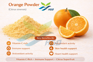 Poudre végétale de mandarine/orange mandarine de qualité alimentaire, approvisionnement direct de l'usine HGO - Product Image 3