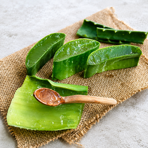 Jugo de Aloe Vera Esterilizado de Alta Calidad a Buen Precio, Certificado HACCP, Sin Azúcar, 100% Puro, Origen Vietnam/ MS ALINA - Product Image 6