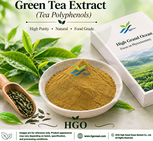 HGO Factory Direct Supply Extrait de thé vert naturel pur (qualité alimentaire) Spécification 98% Polyphénols de thé (extrait standardisé) - Product Image 1