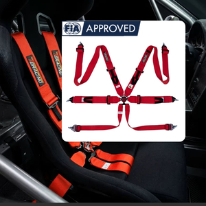 Arnés de Carreras con Cierre Cam Lock de 16 Colores, Certificado por la FIA, Ajustable, de Acero, para Deportes de Motor, Posventa y Marca Privada - Product Image 3