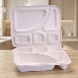 Fourniture en gros de couvercles de barquettes repas 5 compartiments en pulpe moulée Oceanic Global modernes et jetables, emballage alimentaire durable pour hôtels et cafés - Product Image 2