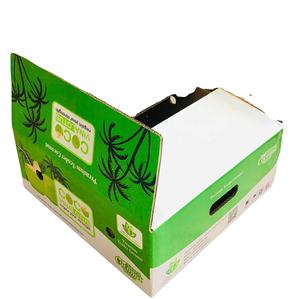 2-Sided Waterproof UV Coating <b>Recycled</b> Materials 5-Layer Corrugated Paperboard Food-Safe Vietnam Coconut Carton <b>Box</b> Agricultural - Product Image 6