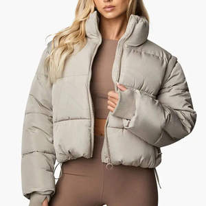<b>Light</b> Gray <b>Puffer</b> <b>Jacket</b> Stand Collar Zipper Closure Quilted Windproof Winter Coat Casual Short Length Unisex - Product Image 1