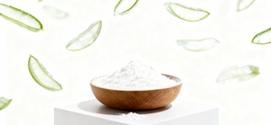 Poudre concentrée d'aloe vera 100X fiable en gros, de qualité supérieure pour les usines cosmétiques et les distributeurs de matières premières - Product Image 2