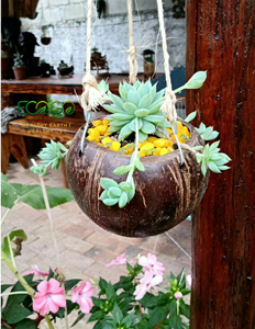 ECO2GO Pot de fleurs en coquille de noix de coco naturelle, fait à la main, écologique, pour la décoration de la maison et du jardin - Product Image 5