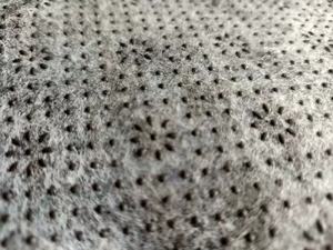 2022 dayanıklı noel şok Mat Pet oyuncak gizlemek ve aramak burun çalışması koku eğitim gıda gizleme peluş keçe köpek çiğnemek oyuncak - Product Image 6