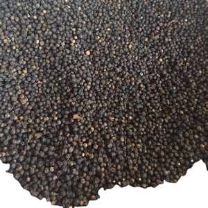 Vente Chaude Poivre Noir du Vietnam 450GL 500GL 550GL 570GL 580GL Épice Séchée et Nettoyée pour l'Exportation en Vrac et la Transformation Alimentaire - Product Image 5