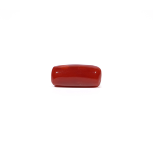 Natural Red Coral Oval Cabochon Loose Gemstone-5.31 Carat Certified Wholesale - Product Image 3