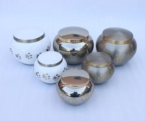 Urnas de Cremación para Mascotas de Latón de Primera Calidad, Modelo Odyssey Paw, Urna para Cenizas de Mascotas con Grabado de Huella, Acabado Brillante en Níquel, para Almacenamiento de Cenizas - Product Image 2