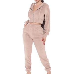 Femmes 2 pièces velours sweat à capuche pantalon survêtement ensemble solide motif zippé survêtement avec dentelle décoration velours pour salon porter - Product Image 2
