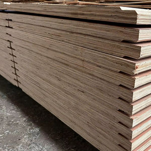 Tablero de contrachapado vietnamita de alta calidad de 635x2400 mm para la construcción y mantenimiento de contenedores - Product Image 1