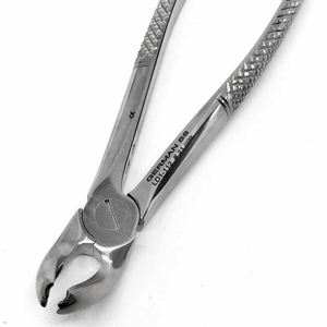Forceps d'extraction dentaire Fig. 21 pour molaires inférieures, instrument chirurgical en acier inoxydable - Product Image 4