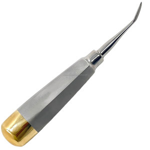 Elevador Dental Manual de Precisión Mundial, Instrumento de Extracción de Raíces Dentales de Acero Inoxidable para Cirugía Oral - Product Image 1