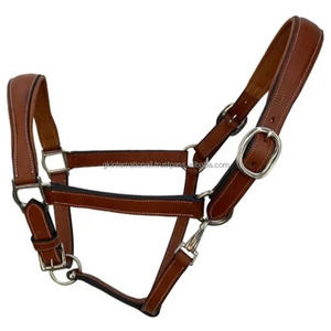 Classic Custom Design Double <b>Stitching</b> & Padding Genuine Leather Horse Halter with Solid Adjustable Brass Hardware & Fittings - Product Image 5