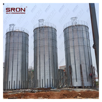 Silos para Granos de Café de Capacidad Personalizada - Acero Galvanizado en Caliente de Grado Profesional, Buena Hermeticidad, Monitoreo PLC SIMENS, EPC Llave en Mano