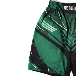 Shorts de boxe pour hommes, motif vert et noir, taille élastique, respirant, vêtements d'entraînement, toutes saisons, polyester - Product Image 2