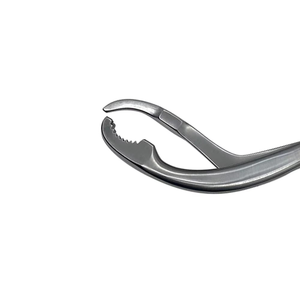 Último Diseño de Hueso Verbrugge Ligero, en Oferta, para Uso Médico y Quirúrgico, a un Precio Razonable, de Última Tendencia, con el Mejor Estilo - Product Image 4