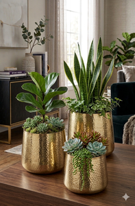 Jardinière en fer poli miroir, revêtement en poudre, durable, multi-usages, pour intérieur, avec drainage - Product Image 2