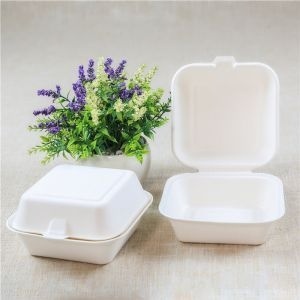 Nueva Caja para Hamburguesas para Llevar, Contenedor Desechable para Alimentos, 6 x 6 con Separador Tipo Concha para Comidas para Llevar, Caja de Empaque para Comida Combinada - Product Image 1