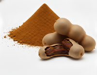 Poudre de Tamarin Biologique Séchée par Pulvérisation 80-100 Mesh Fine, Conditionnement en Vrac Sous Vide, Certifiée Halal Kosher FSSAI, Sans Sucre Ajouté, Faible Teneur en Humidité