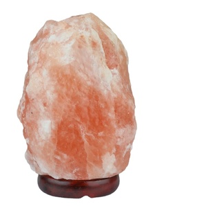 Vente en gros rose forme naturelle artisanat variateur cristal roche sel de l'Himalaya lampe prise lampe au sel de l'himalaya - Product Image 3