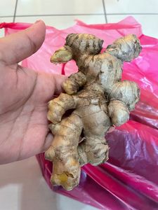 ผู้จัดจำหน่ายขิงสดเวียดนามแบบทั้งหัว ขายส่งจำนวนมาก สำหรับบริษัทแปรรูปอาหาร ผู้ซื้อวัตถุดิบ ผู้นำเข้า - แบรนด์ EXPAD - Product Image 4