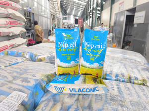 Arroz Glutinoso Redondo de Vietnam - Nep Cai Hoa Vang - Mejor Precio Competitivo - Exportación a Granel - MaxRice - Product Image 6