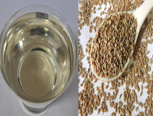 Aceite Esencial de Ajowain 100% Puro Destilado al Vapor de Aethon International LLP al por Mayor para el Cuidado Facial, de la Piel y del Cabello, para Todo Tipo de Piel - Product Image 4