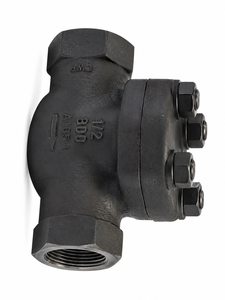 วาล์วกันกลับแบบยกแนวนอนขนาด 1/2 นิ้ว ASTM A105 เหล็กกล้าคาร์บอนฟอร์จ เกรด 800 เกลียว NPT แบบตัวเมีย - Product Image 2