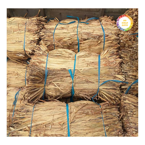เส้นใยผักตบชวาคุณภาพสูงสำหรับงานสานและงานฝีมือ - Product Image 3