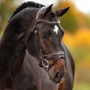 Sports Style Leather English Bridle With Protective <b>Rubber</b>-rein <b>Boots</b> And Polished Metal Accents - Product Image 6