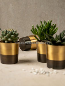 Maceta de latón de dos tonos de alta calidad con acabado recubierto de polvo para el hogar y el jardín que complementa su espacio vital - Product Image 3