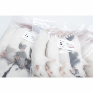 Rats congelés M3 61-70g, nourriture pour reptiles de qualité supérieure, vente en gros, sans salmonelle, nutrition bio-améliorée - Product Image 4