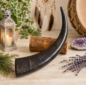 Corne à boire artisanale 100 % naturelle en corne de bœuf, style Viking médiéval, polie, écologique, accessoire pour la bière - Product Image 2