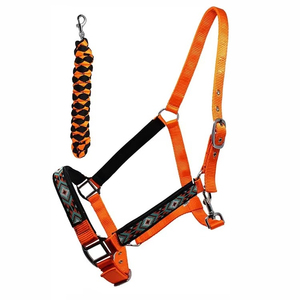 Harnais de cheval en nylon orange avec rembourrage noir et boucles métalliques pour l'équitation et l'entraînement - Product Image 1