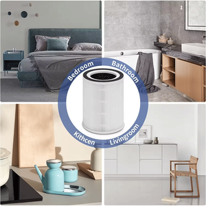 Cartuccia Filtro HEPA H11 Originale 2-in-1 per Purificatore d'Aria, Ricambio Singolo in Vendita - Product Image 5