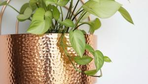 Macetero de pared con diseño martillado de primera calidad, acabado en dorado, para decoración de pared de balcón, decoración de pared para cafeterías y restaurantes. - Product Image 6